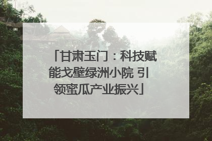 甘肃玉门：科技赋能戈壁绿洲小院 引领蜜瓜产业振兴